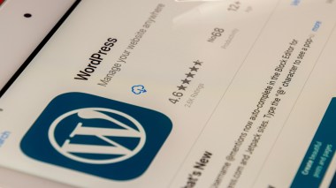 其實用wordpress就夠了